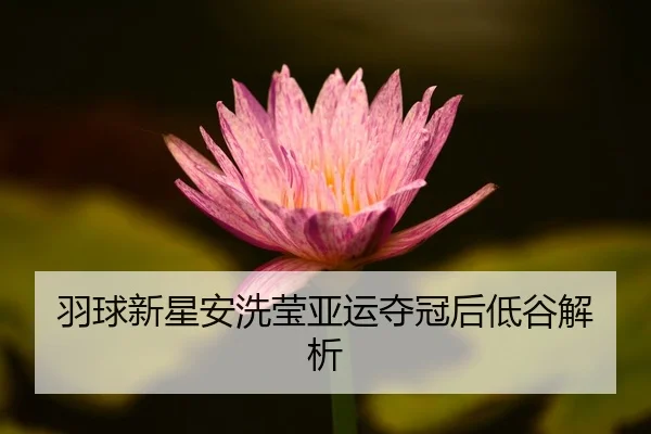 羽球新星安洗莹亚运夺冠后低谷解析
